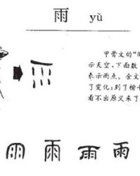 葱郁的雨该怎么组词