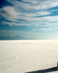 加偏旁组词语(寺加偏旁组词语)