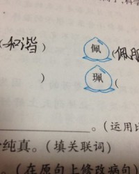 宱的两字组词怎么读