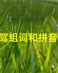 驾字怎么组词(驾字怎么组词两个字)