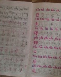 您的组词怎么写(的组词怎么写的呀一年级)