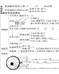 细胞的包包怎么组词