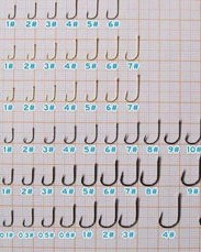 两横竖钩的鱼怎么组词