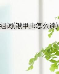 锹字组词(锹字组词怎么组)