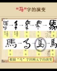 筒字组词(筒字组词怎么组)