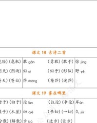 包括的怎么组词