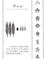 麦子的麦怎么组词(麦子的麦该怎么组词)