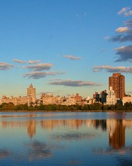 禾字组词有哪些(禾字组词有哪些组词呢怎么写呀)