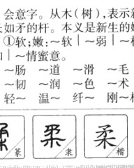 杆的组词和拼音(杆的组词和拼音和部首是什么意思)