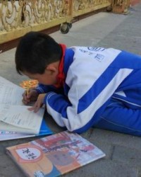 子怎么组词语(子怎么组词语和拼音怎么写的)