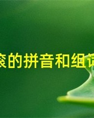 滚的拼音和组词(滚的拼音和组词怎么写)