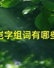 渠字组词(渠字组词怎么组)