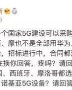 感恩胆子的胆怎么组词