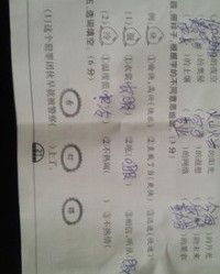 异同的意义怎么组词