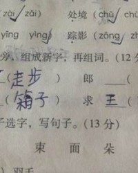 垃圾的圾怎么组词(垃圾的垃组词怎么写)