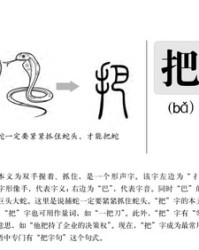 蛇有什么组词(有蛇的蛇字怎么组词)