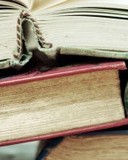 牡怎么组词(牡怎么组词三年级)