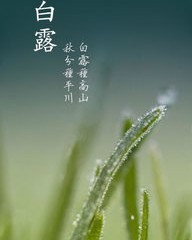 露白露的露怎么组词