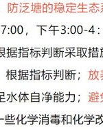 小溪泛尽的烦怎么组词