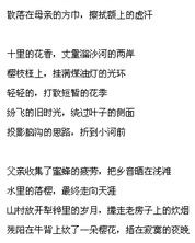 轮怎么读组词