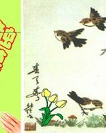 宋耕触怎么组词