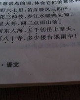 同意的意思组词怎么写