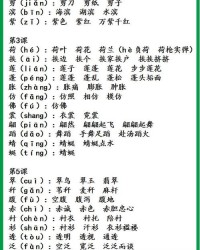 干的组词怎么写