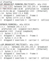王组词接龙开头怎么接