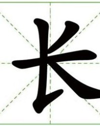 田字怎么组词是什么