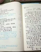 铺满阳光的铺字怎么组词