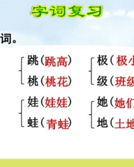 极小的极组词(极小的极组词怎么组词语)