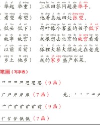 举手的举组词(举手的举组词怎么组)