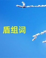 盾字怎么组词(盾字的组词是什么)