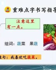 蔬菜的蔬组词(蔬菜的蔬组词怎么写)