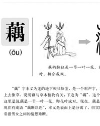 藕怎么组词(藕怎么组词语和拼音)