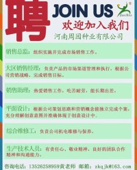 春节招聘组词怎么写