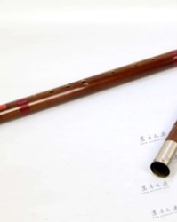 孔怎么组词(孔怎么组词三年级上册)