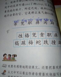 品字的拼音怎么组词