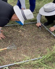 下怎么组词语(下怎么组词语一年级上册)