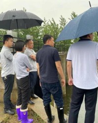 小度他的组词怎么写