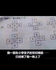 风字怎么组词