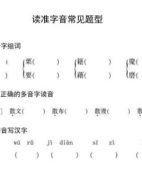 准字怎么组词(将字怎么组词)