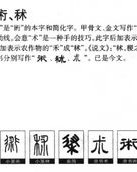 术什么术怎么组词