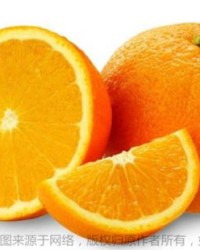 橙子的英文组词怎么写