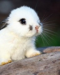 膛字组词(膛字组词拼音部首)