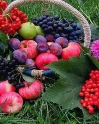 有水果的图片怎么组词啊