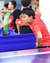 乒乓的胖怎么组词