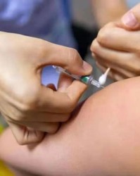 打疫苗的苗怎么组词