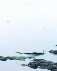 整组词(整组词拼音部首结构)