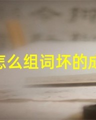 废字怎么组词(废的组词和读音是什么)